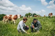 Appel à projet Ademe Accalmie