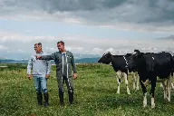 Fabacee économie d'energie et intrants